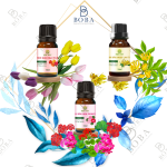 <strong>Các công dụng đặc biệt của tinh dầu thiên nhiên</strong>