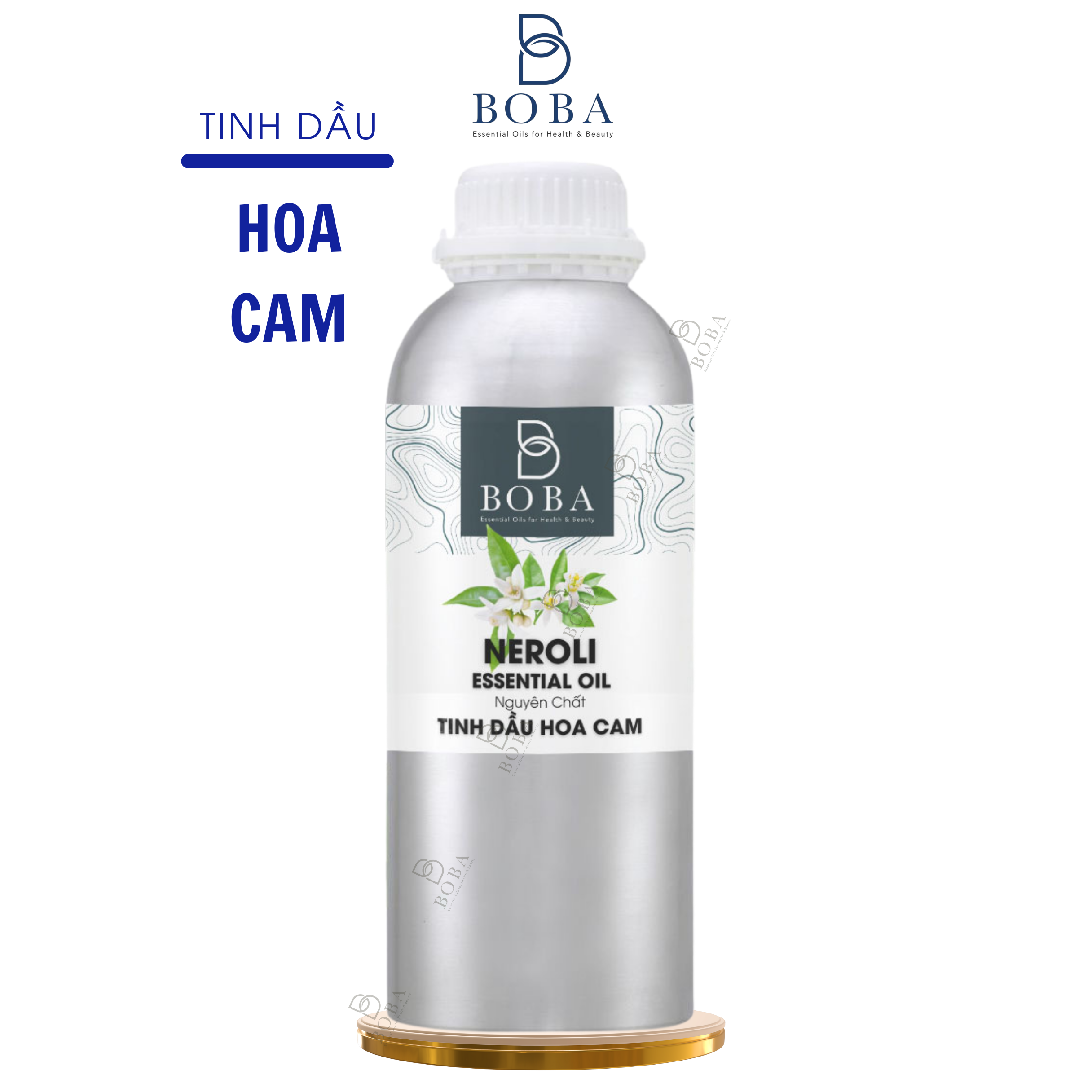 Hoa cam