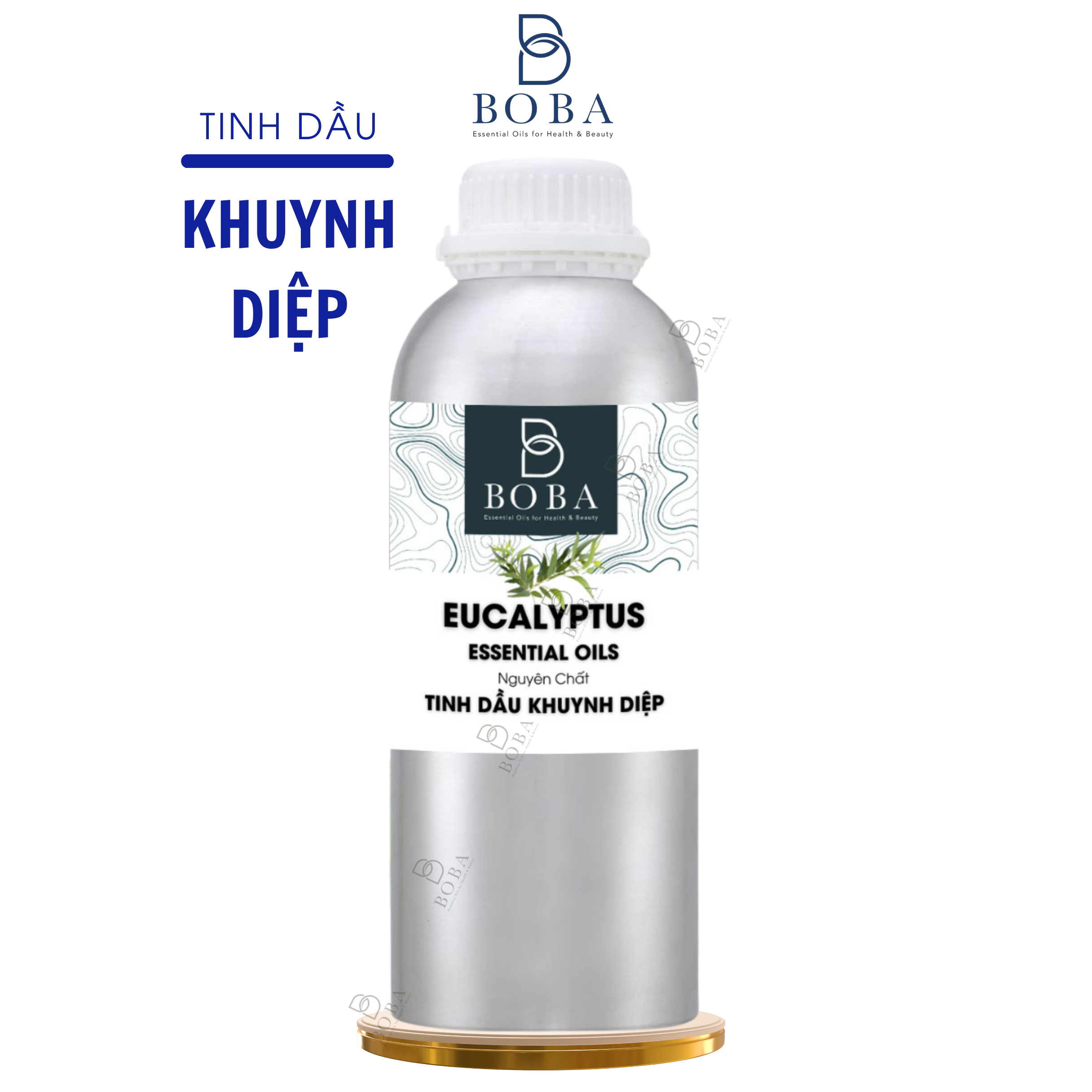 Khuynh Diệp