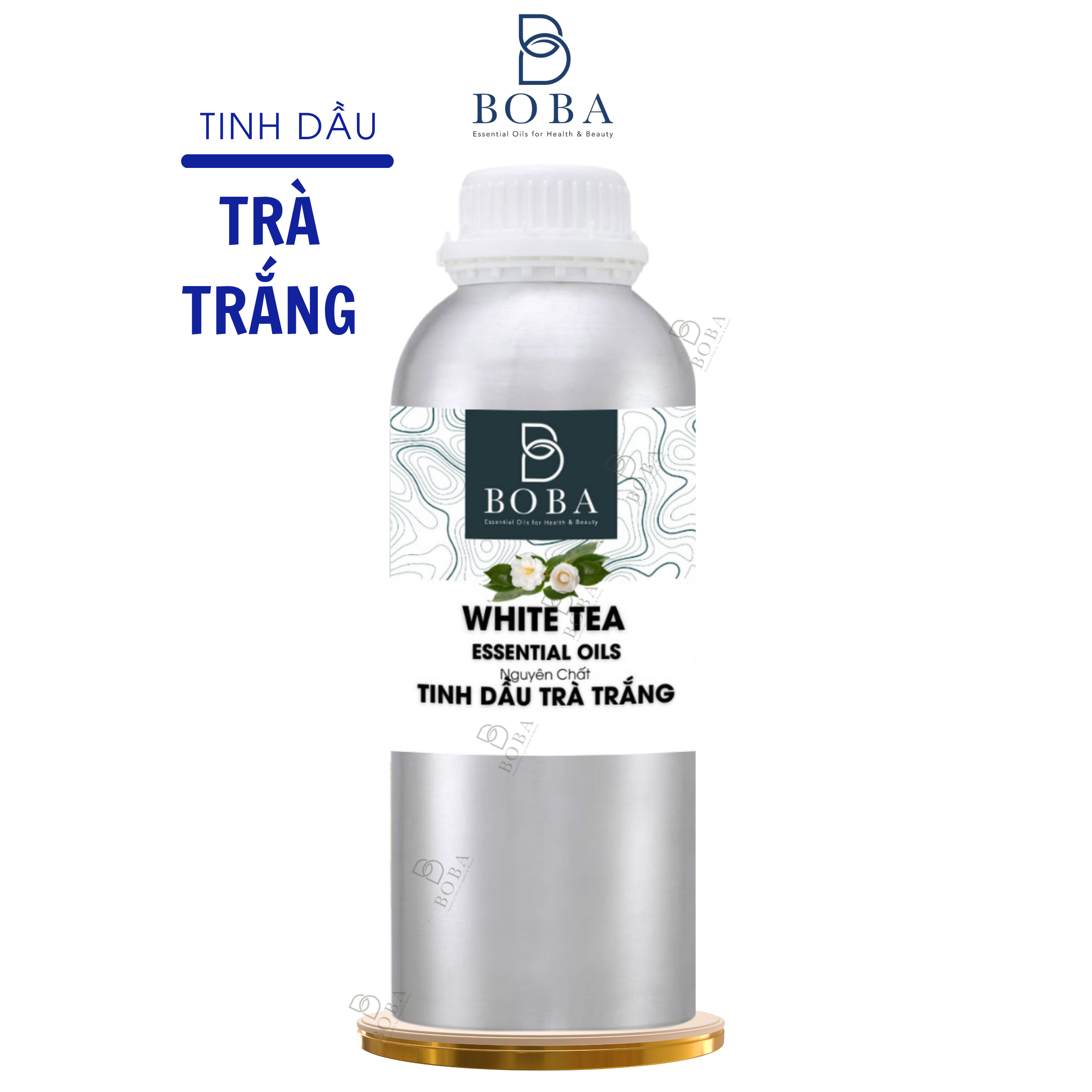 Trà Trắng