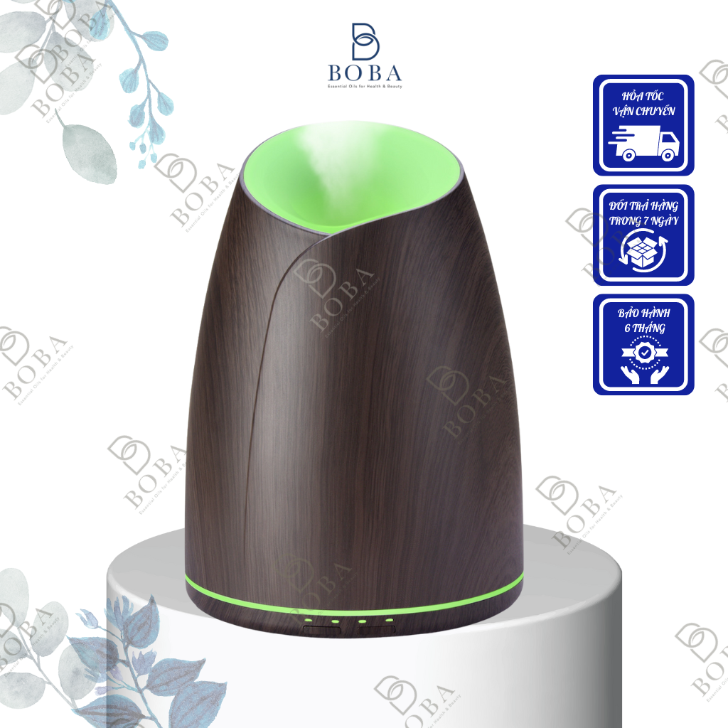 Loa 1