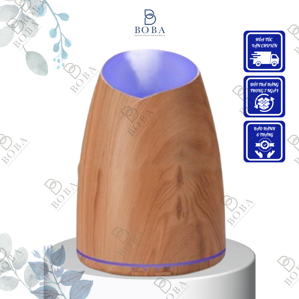 Loa 2