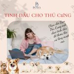 Tinh Dầu cho thú cưng