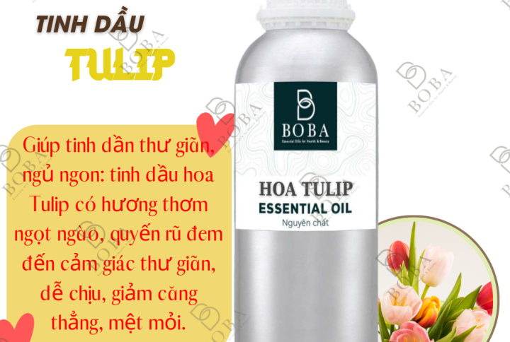 tinh-dau-hoa-tulip