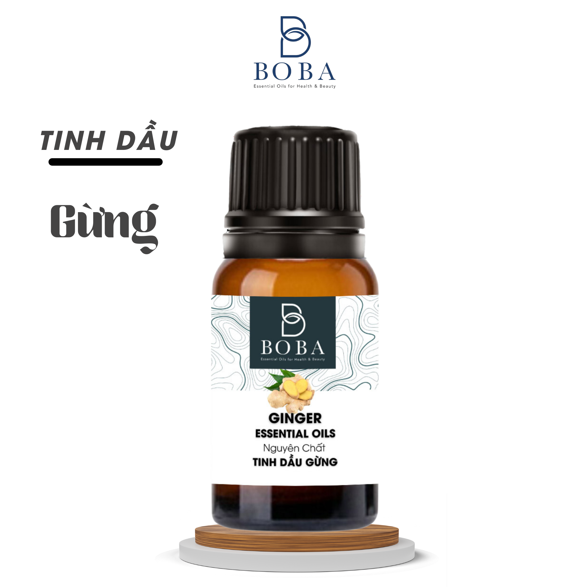 Gừng
