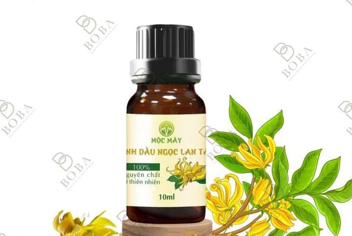 tinh-dau-ngoc-lan-tay