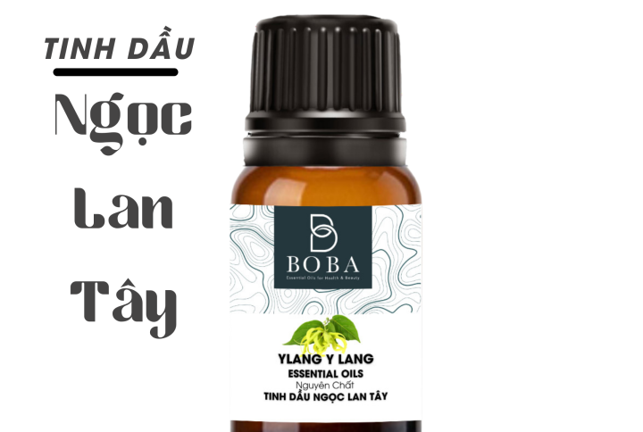 tinh-dau-ngoc-lan-tay